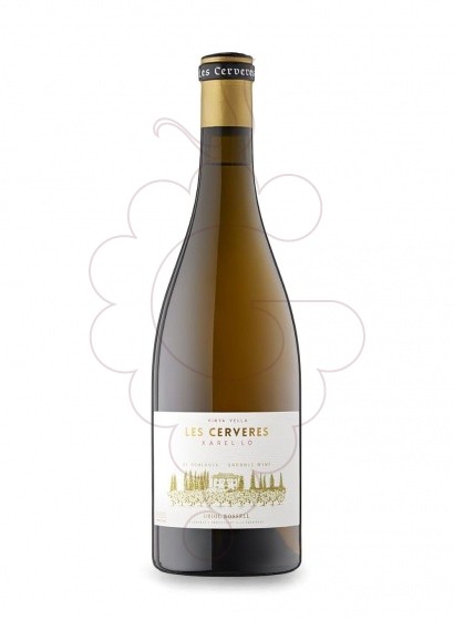 Photo Oriol Rossell Cerveres BL Xare white wine