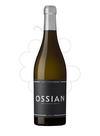Photo Ossian white wine