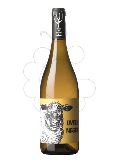 Photo Mas Candí Ovella Negra white wine