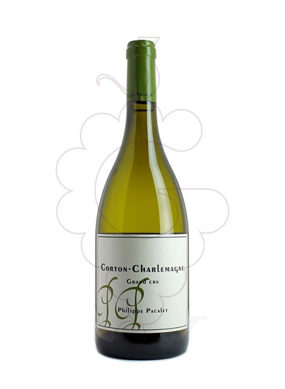 Photo Pacalet Corton-Charlemagne Grand Cru white wine