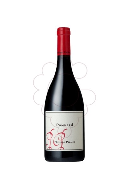 Photo Pacalet Pommard red wine
