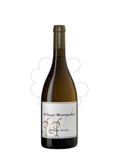 Photo Pacalet Puligny-Montrachet white wine