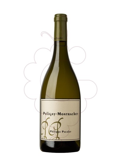 Photo Pacalet Puligny-Montrachet white wine