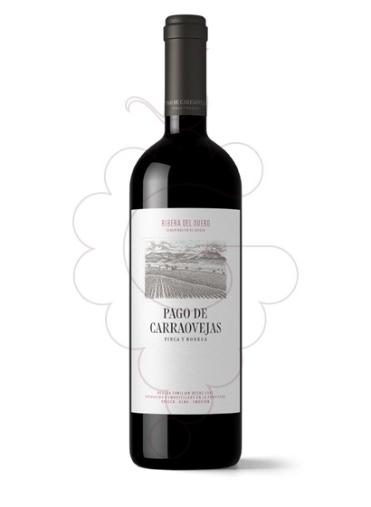 Photo Pago Carraovejas  red wine