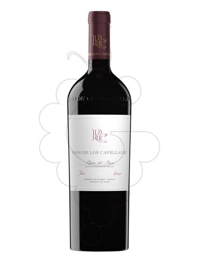 Photo Pago de Capellanes Crianza Réhoboam red wine