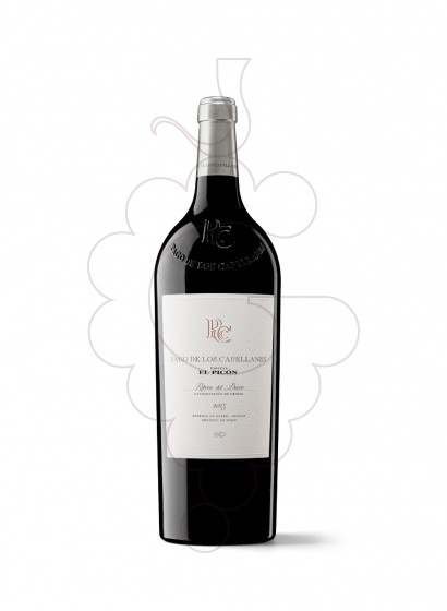 Photo Pago de Capellanes Picon Magnum red wine