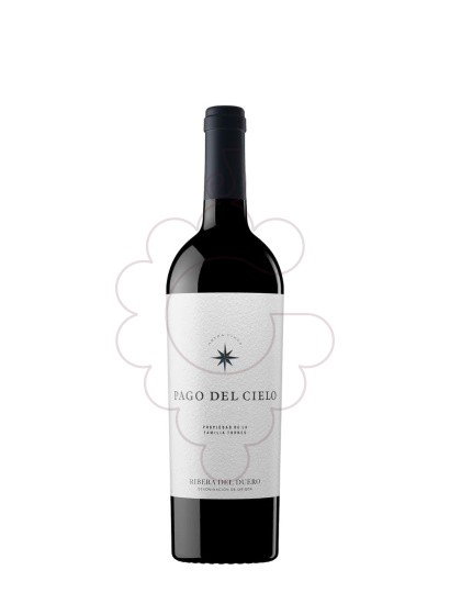 Photo Pago del cielo 2019 75 cl red wine