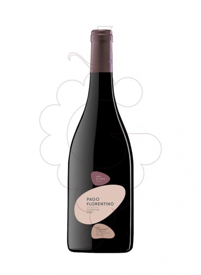 Photo Pago Florentino red wine