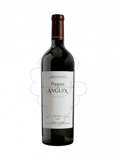 Photo Pagos de Anguix Barrueco red wine