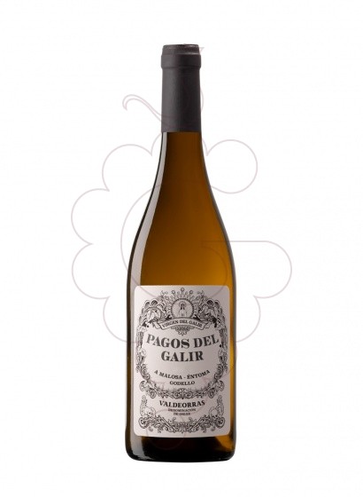 Photo Pagos del Galir Godello white wine