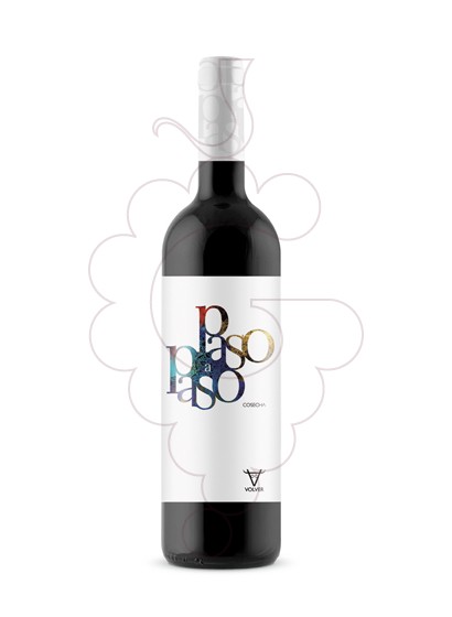 Photo Paso a Paso Cosecha  red wine