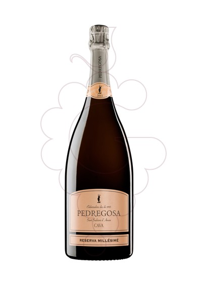 Photo Pedregosa Reserva Millésimé Magnum sparkling wine