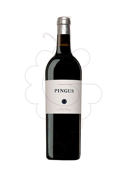 Photo Pingus Magnum red wine