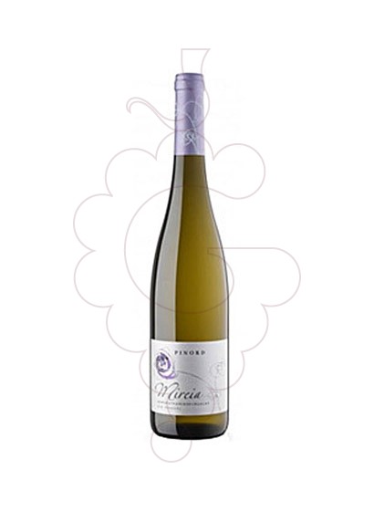 Photo Pinord Mireia  white wine