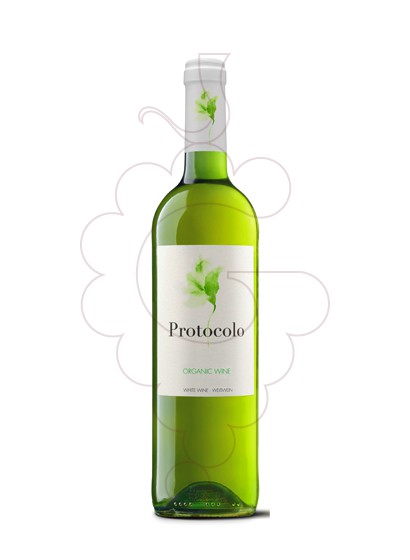 Photo White Organic Protocolo white wine