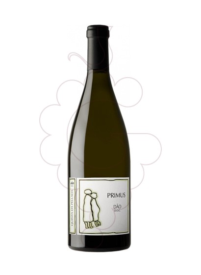 Photo Quinta da Pellada Primus white wine