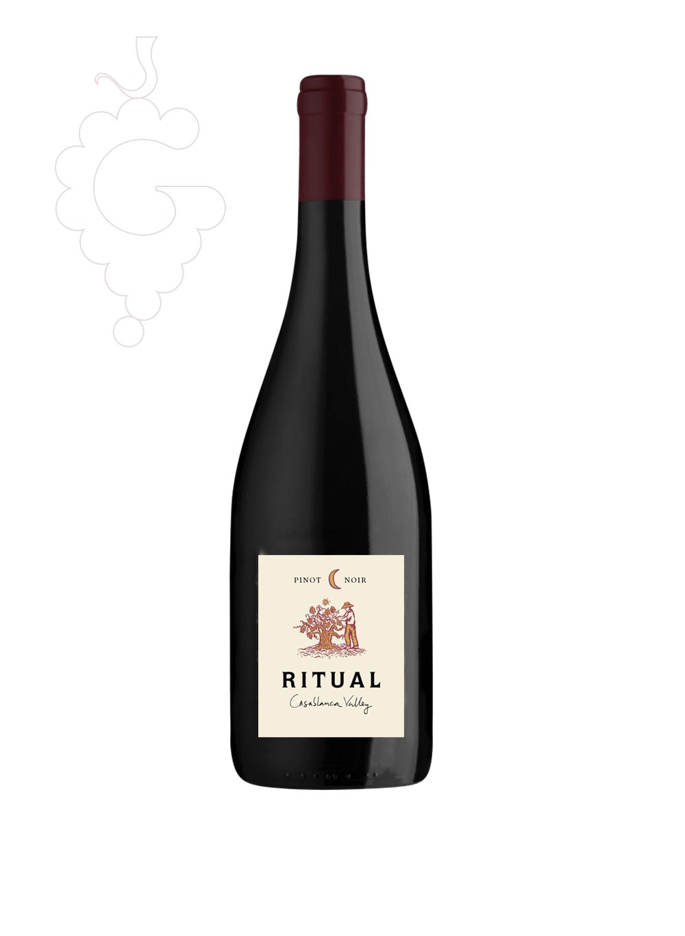 Photo Ritual Pinot Noir red wine