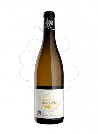 Photo White Roches Neuves Saumur L'Échelier white wine