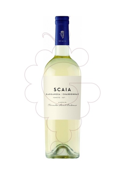 Photo Scaia white wine
