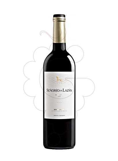 Photo Señorío de Lazán Reserva Magnum red wine