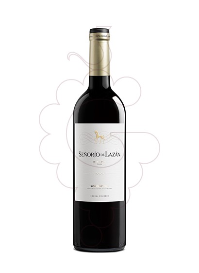 Photo Señorio de Lazan Reserva red wine