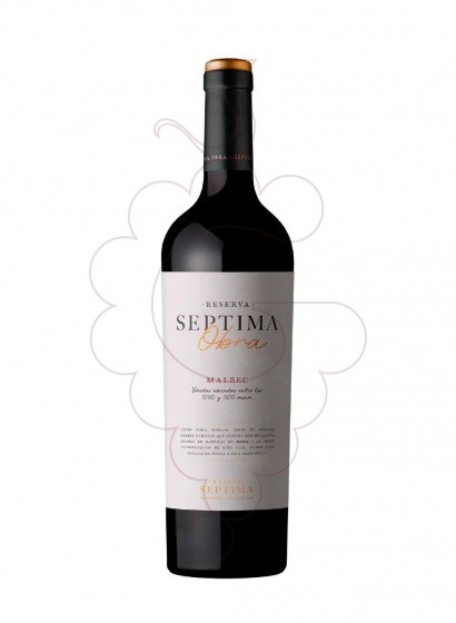 Photo Septima Obra Malbec red wine