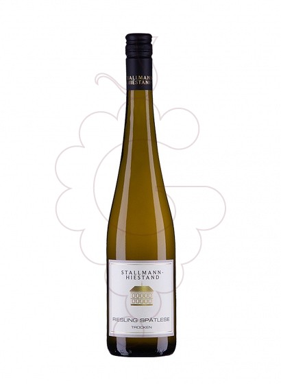 Photo S.hiestand vom rotliegenden 20 white wine