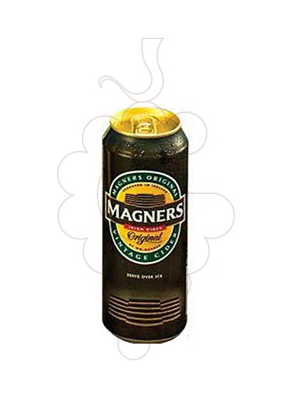 Photo Cider Magners can