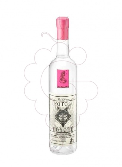 Photo Aguardiente Sotol blanco coyote chihuahua