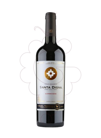 Photo Santa Digna Carménère red wine