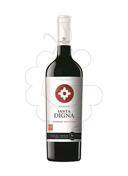 Photo Red Santa Digna Cabernet Sauvignon red wine
