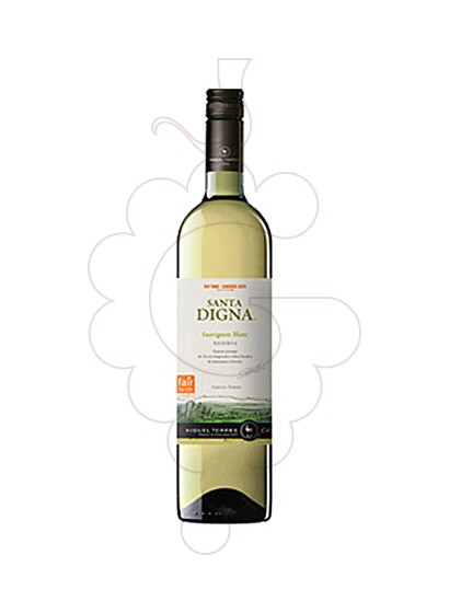 Photo Sta. Digna Xile Blanc Sauvignon white wine