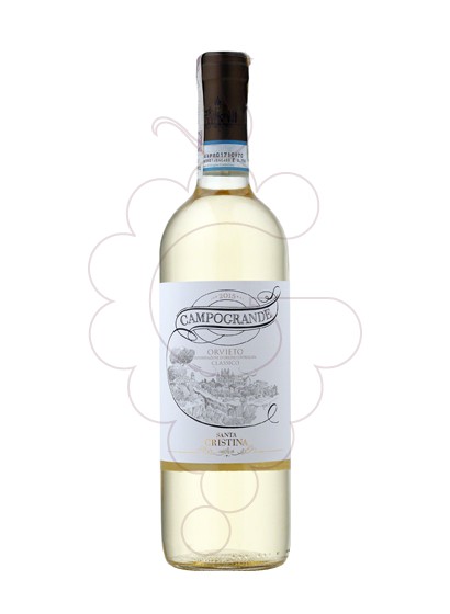 Photo Santa Cristina Campogrande white wine