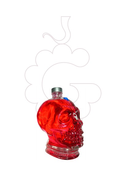 Photo Vodka Takensap Vodka Skull (mini)