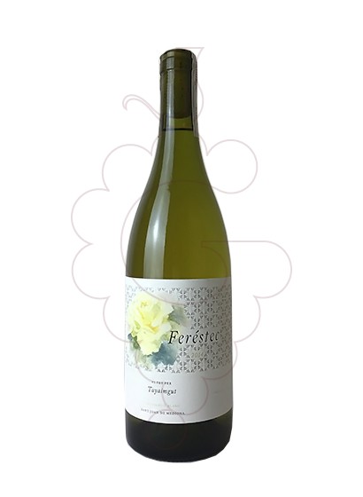 Photo Tayaimgut Feréstec white wine