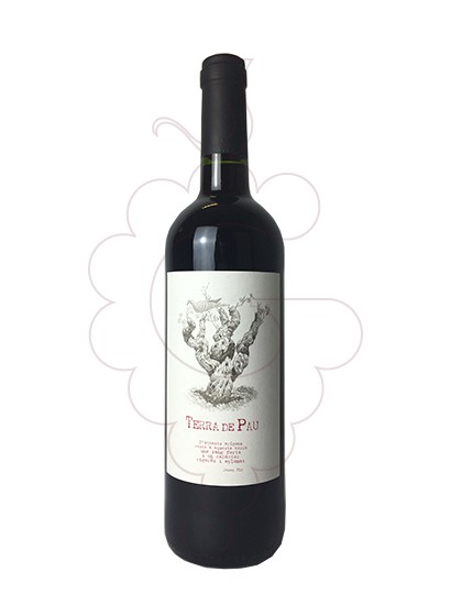 Photo Red Terra de Pau Negre red wine