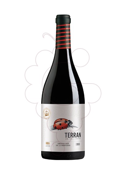 Photo Terran de Vallobera red wine