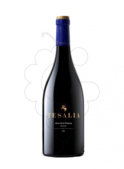 Photo Tesalia Negre 2019 red wine