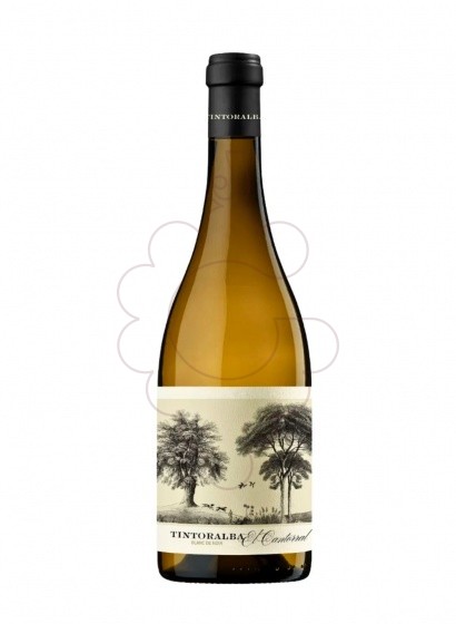 Photo Tintoralba El Cantorral Blanc de Noir white wine