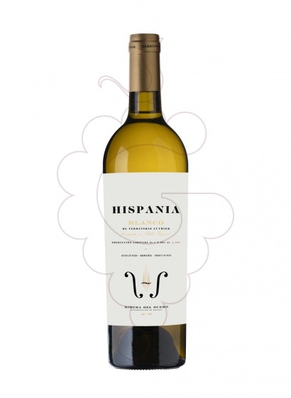 Photo Territorio Luthier Hispania Blanco white wine