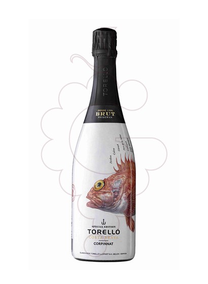 Photo Torello Costa Brava Brut sparkling wine