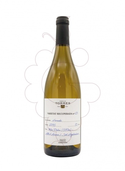 Photo Torres Forcada white wine