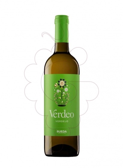 Photo Torres Verdeo Blanc  white wine