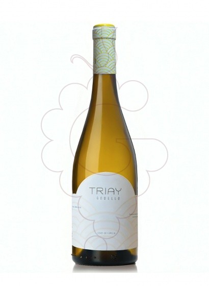 Photo Triay Godello white wine