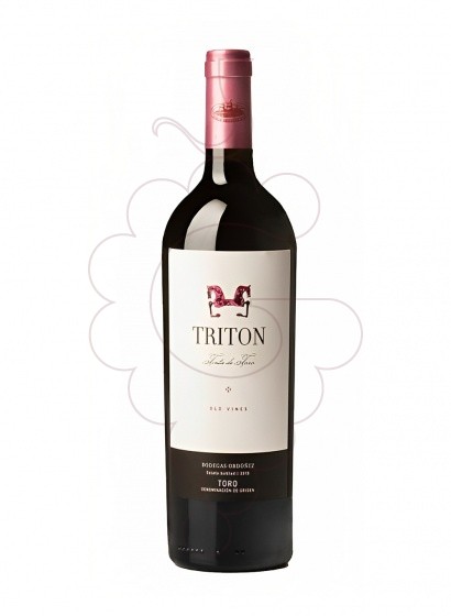 Photo Triton Tinta de Toro Magnum red wine