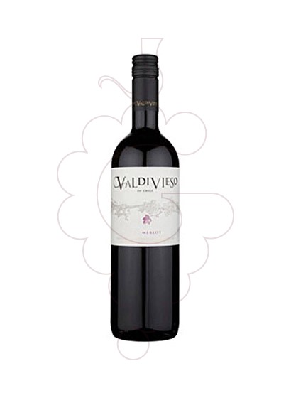 Photo Valdivieso Premium Merlot red wine