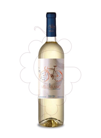 Photo Vélo Blanc white wine