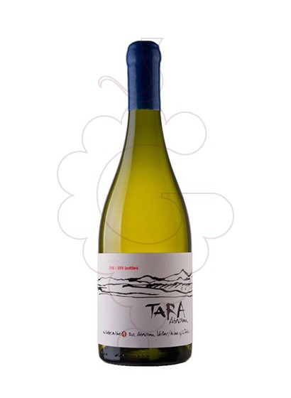 Photo Ventisquero Tara White Wine 1 white wine