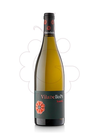 Photo Viladellops Xarel·lo white wine