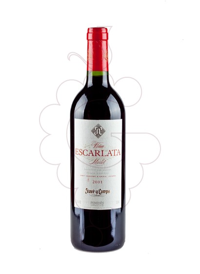 Photo Viña Escarlata red wine